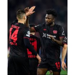 Bayer 04 Leverkusen won met 1-0 uit van Hamburger Sportverein.